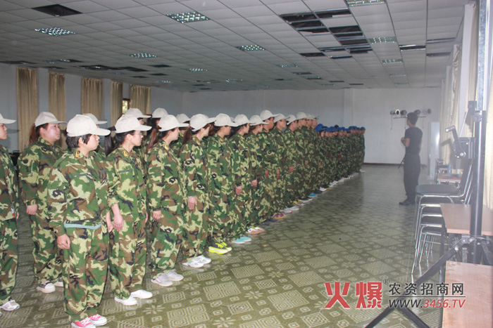 ���ɰ���Ӗ