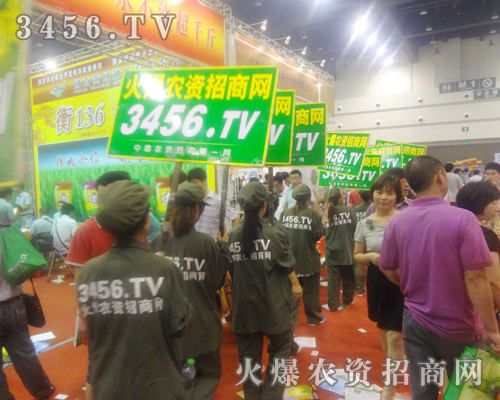 2013�ļ��N�ӽ��ו�(hu��)���r(n��ng)�Y�W(w��ng)�����I(y��)�I(y��)