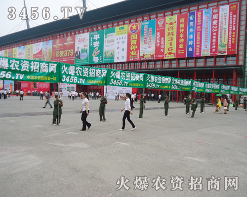 2013�����߲˷N�ӕ������r�Y�W(w��ng)��Ȼ��ҫ�۵��L��