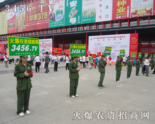 2013�ļ��N�ӽ��ו��ϻ��r(n��ng)�Y�W(w��ng)���ҵ���