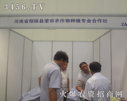 ����ʡ۳��h�����r(n��ng)����Nֲ��������_����