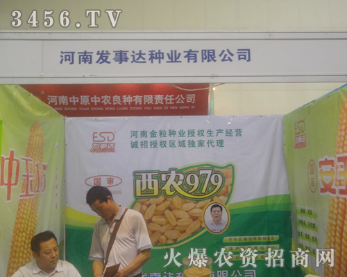 ���ϰl(f��)���_�N�I(y��)�����ݷN���p���������p��