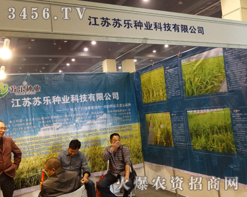 �K���N�I(y��)�����ݷN�ӕ�������