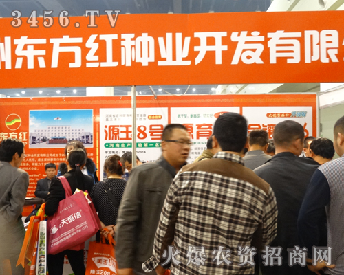 ���ݖ|���t�N�I(y��)��������ǰ��