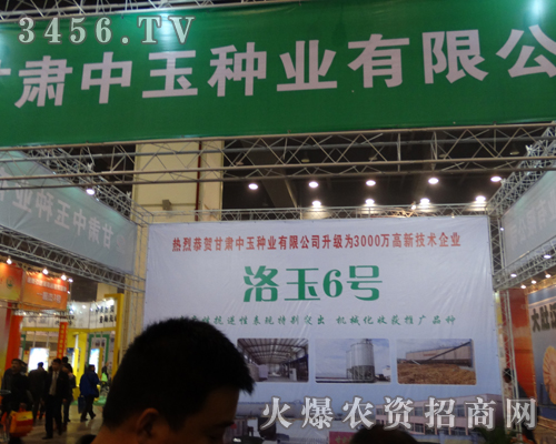 ����N�I(y��)¡�؅���2013�����＾�N�ӕ�