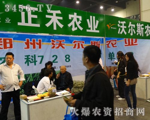 �����֠�˹�r(n��ng)�I(y��)�~�����µ�����