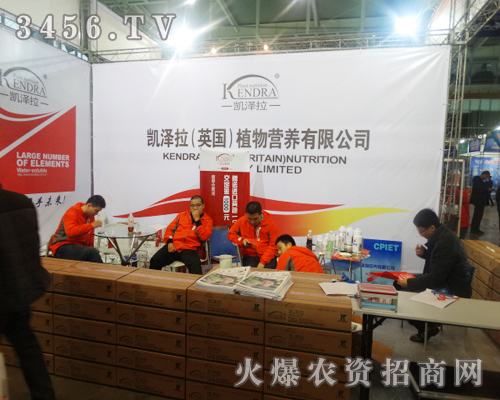 Ӣ���P������˾��2013���ֲ���p����������Ч��