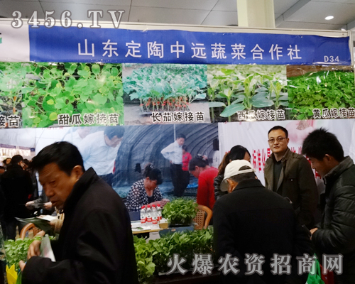 ���_�T��ϲӭ��(j��ng)�N�̿���ɽ�|�������h(yu��n)�߲˺������®a(ch��n)Ʒ