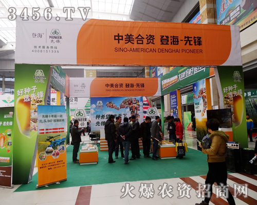 �������Y-�Ǻ�-���h