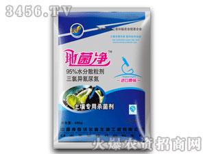 �������Ä�-�ؾ���