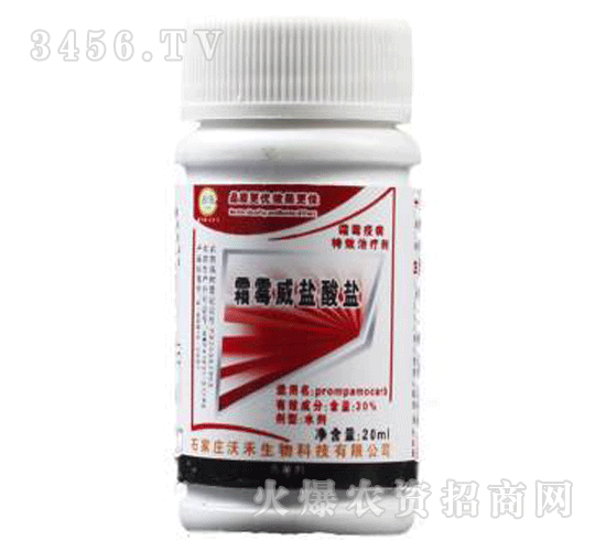 ˪ù���}���}