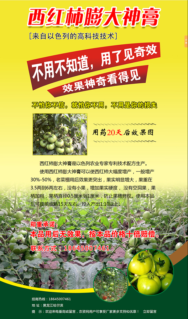 ���t�����