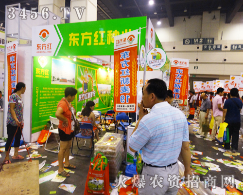 ���ݖ|���t�N�I(y��)����Ʒ׌�����ǰһ��