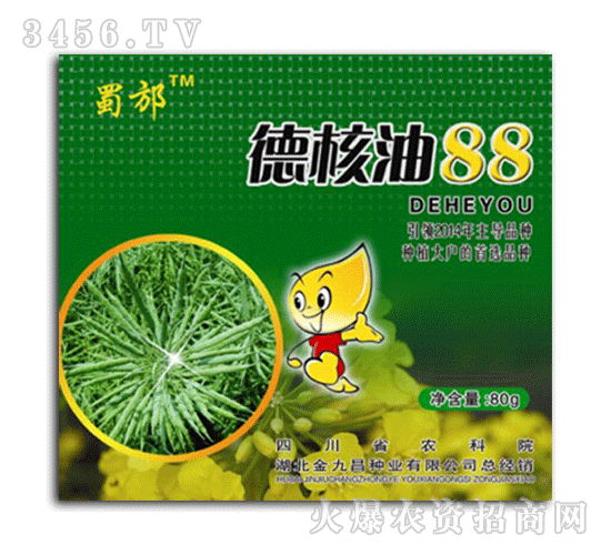 �º���88̖-����