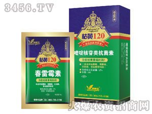 ����ù��+��ऺ������-���S120