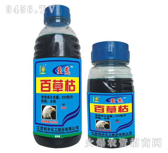 �ٲݿ�-����