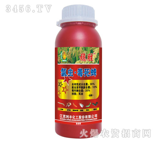 30%���x������-��(w��n)��