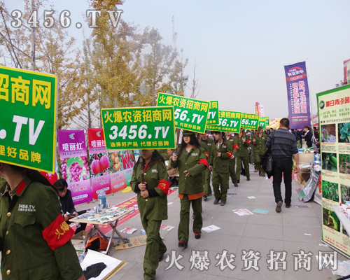 3456.TVȫ���Ը��������ɹ�����ǰ�M(j��n)