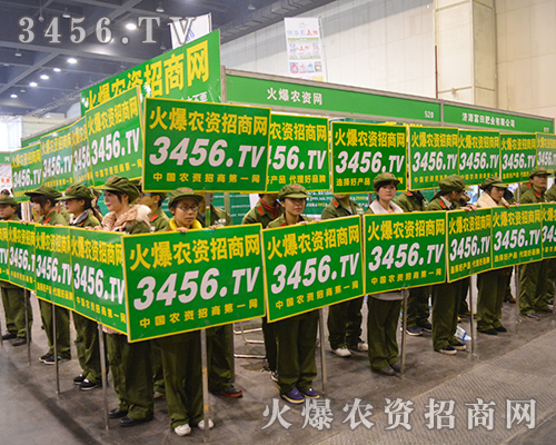 2015���ݷ��ϕ�(hu��)�����r(n��ng)�Y�W(w��ng)��չ���L(f��ng)��