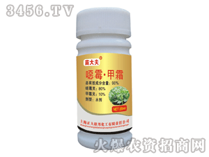 ����(li��n)��-����?q��)����N���ڲ������@����Ч!