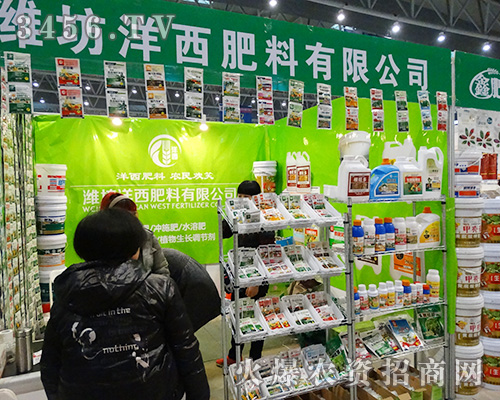 �H������������2015ֲ�������ի@�H�S��