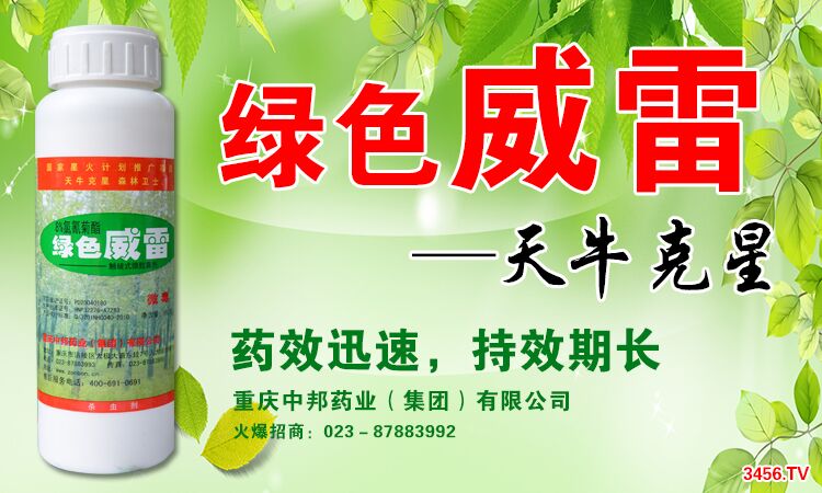 �Gɫ������Ʒ�°��b,�rλ!!