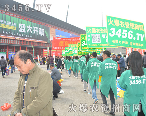 3456.TV���Լ��������C���Լ���׌�͑��Ȳ���