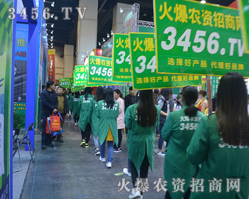 3456.TV���r(n��ng)�Y���̾W(w��ng)ף2016��ԭ���ϕ��A�M�ɹ���