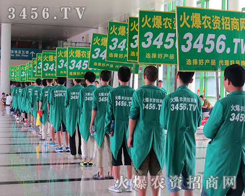 ���r�Y���̾W�ľ�Ӣ�����¿��������ۣ�