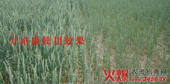 �����f(w��n)��������Ƽ����޹�˾