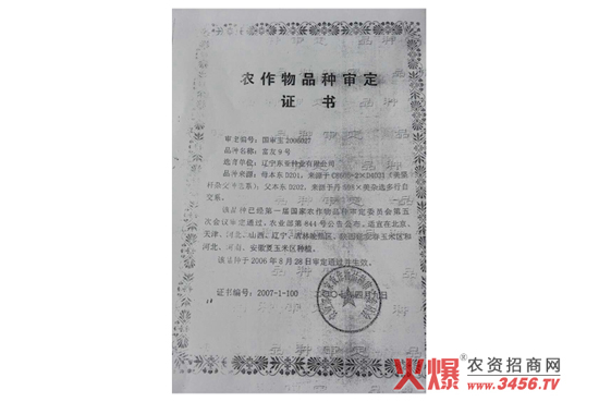 ���s���N-����9̖-���f��