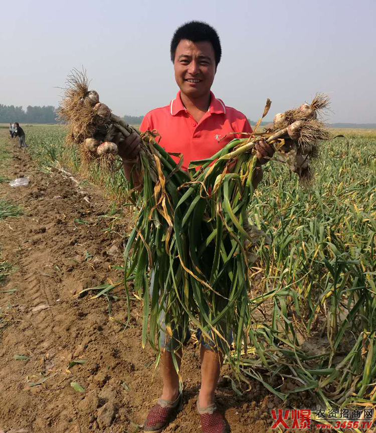 ����ʡ���������ﱣ�o(h��)���޹�˾