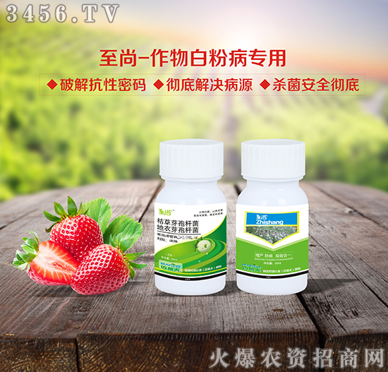 ����-�Ծ��ξ�,�Ծ��˾�,����׷۲�����ˎ��!