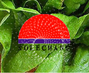 �����������r�I(y��)�о���