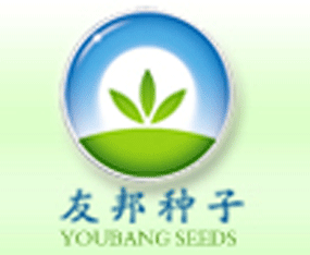 �����Ѱ�N�����޹�˾