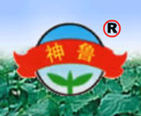 ɽ�|ʡ���(y��ng)�h�S���о���