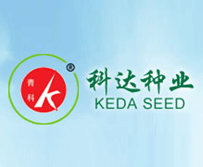 ���u���(y��ng)���_(d��)�߲��о���