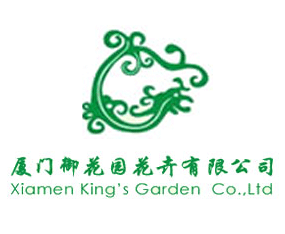 �B�T�����@�������޹�˾