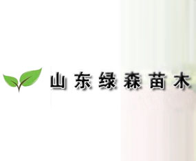 ɽ�|�Gɭ��ľ���޹�˾