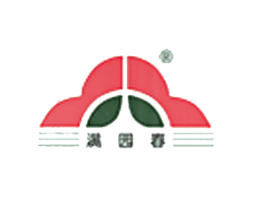 ������S����Ƽ����޹�˾