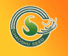 ��ꖿh�߲��о���