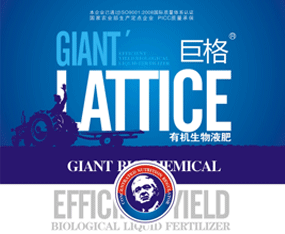 ���ݾ޸����＼�g(sh��)���޹�˾