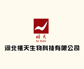 �ӱ���������Ƽ����޹�˾