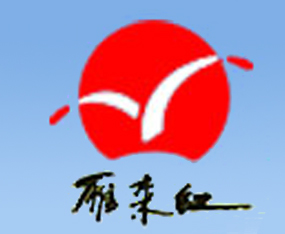 ɽ�|ʡ�I������t���﹤�����޹�˾