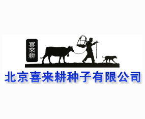 ����ϲ�����N�����޹�˾