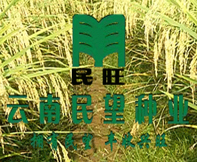 ���������N�I(y��)���޹�˾