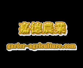 ���B�ε��r(n��ng)�I(y��)�l(f��)չ���޹�˾