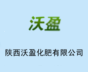 �������ӯ����Ƽ��ɷ����޹�˾