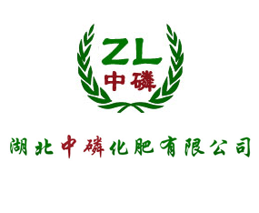 �������׻������޹�˾