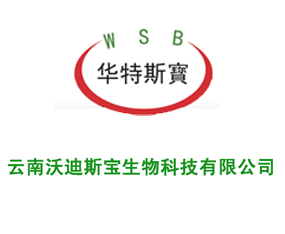 �����ֵ�˹������Ƽ����޹�˾